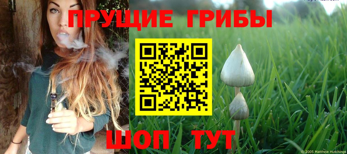 Саров  Псилоцибиновые грибы мухоморы  Вход с VPN 
